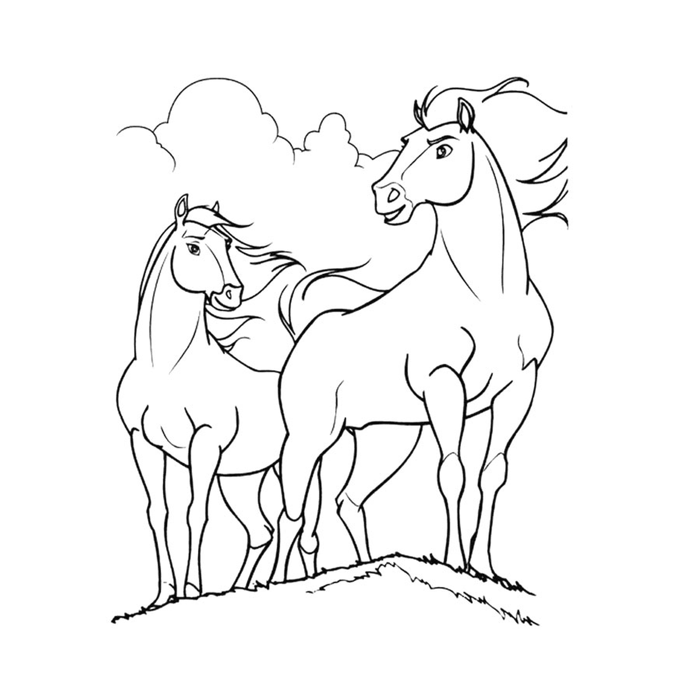   Couple de chevaux se tenant sur une colline herbeuse 