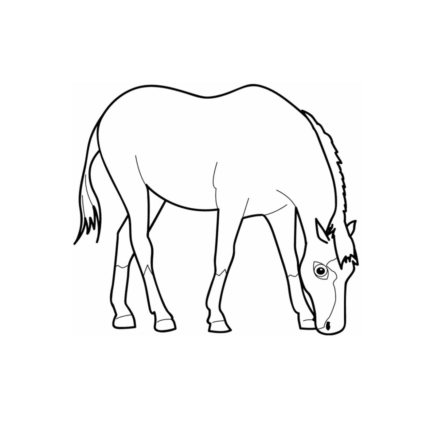   Cheval simple - Un cheval qui broute 