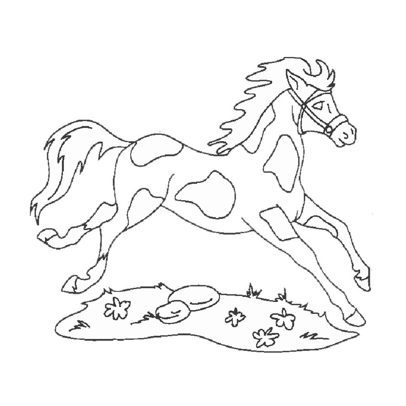   Cheval et chien - Un cheval qui court 