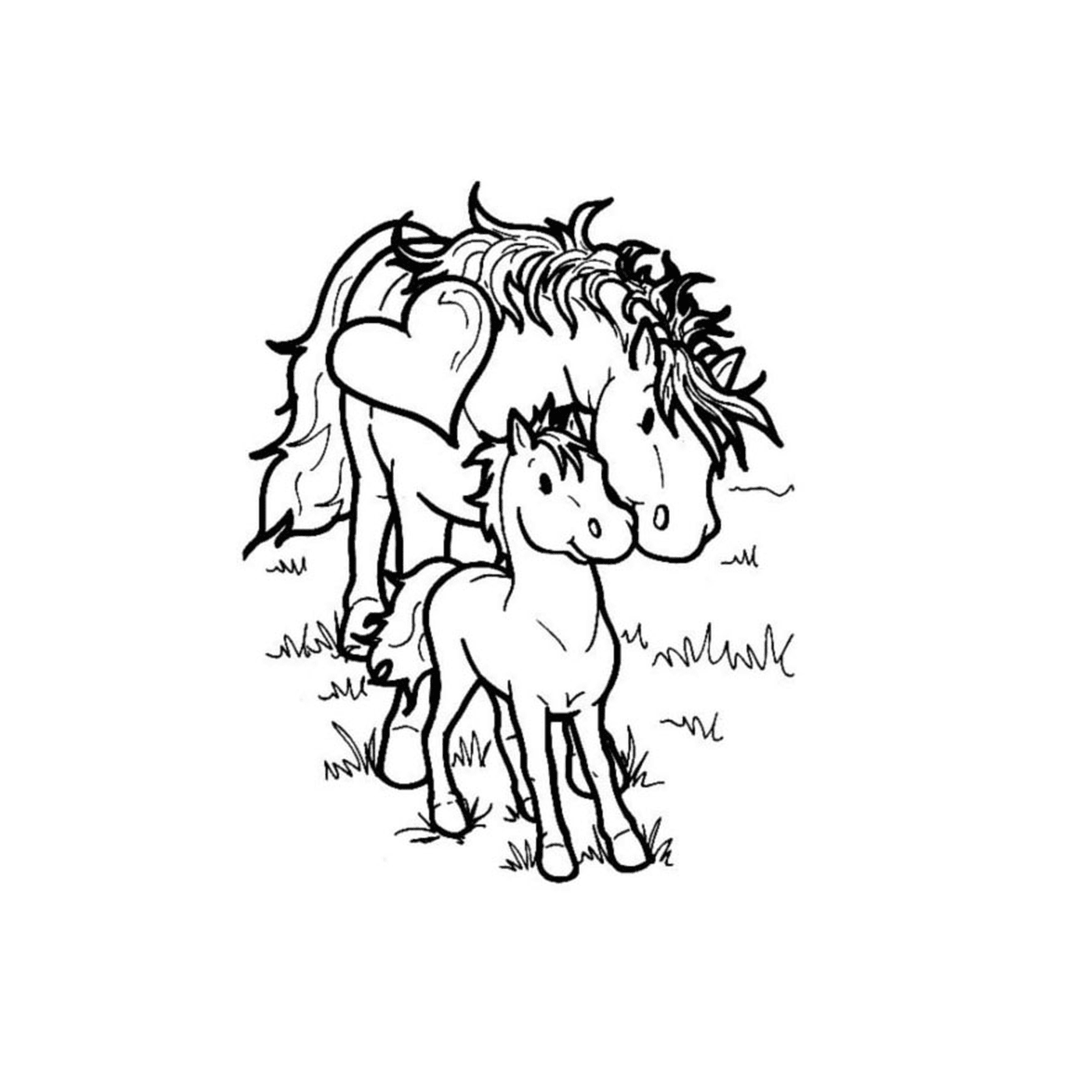   Cheval et poney - Un cheval et un poulain 