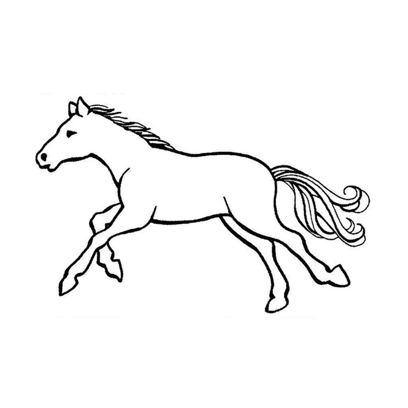   Chevaux au galop - Un cheval qui court 
