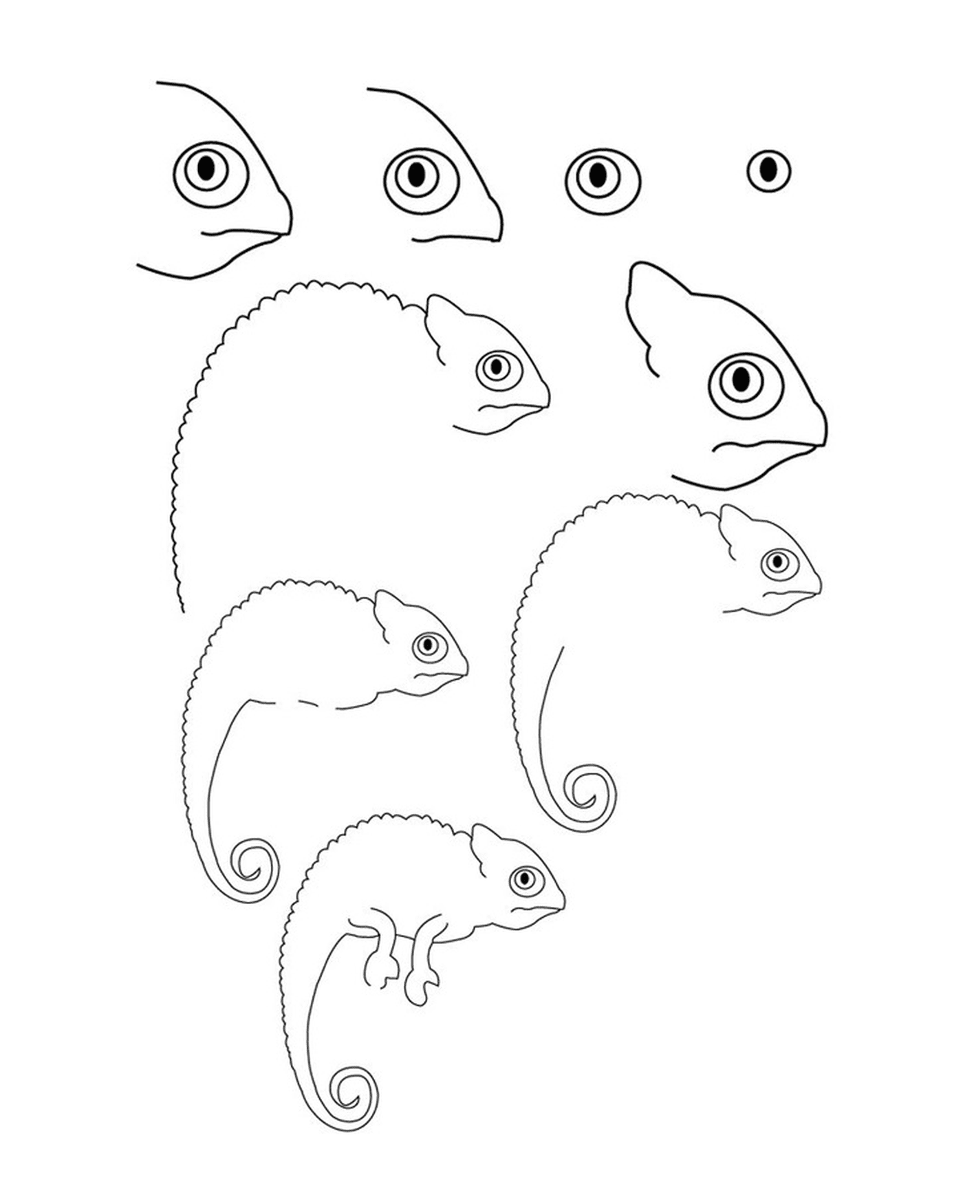   Comment dessiner un caméléon 