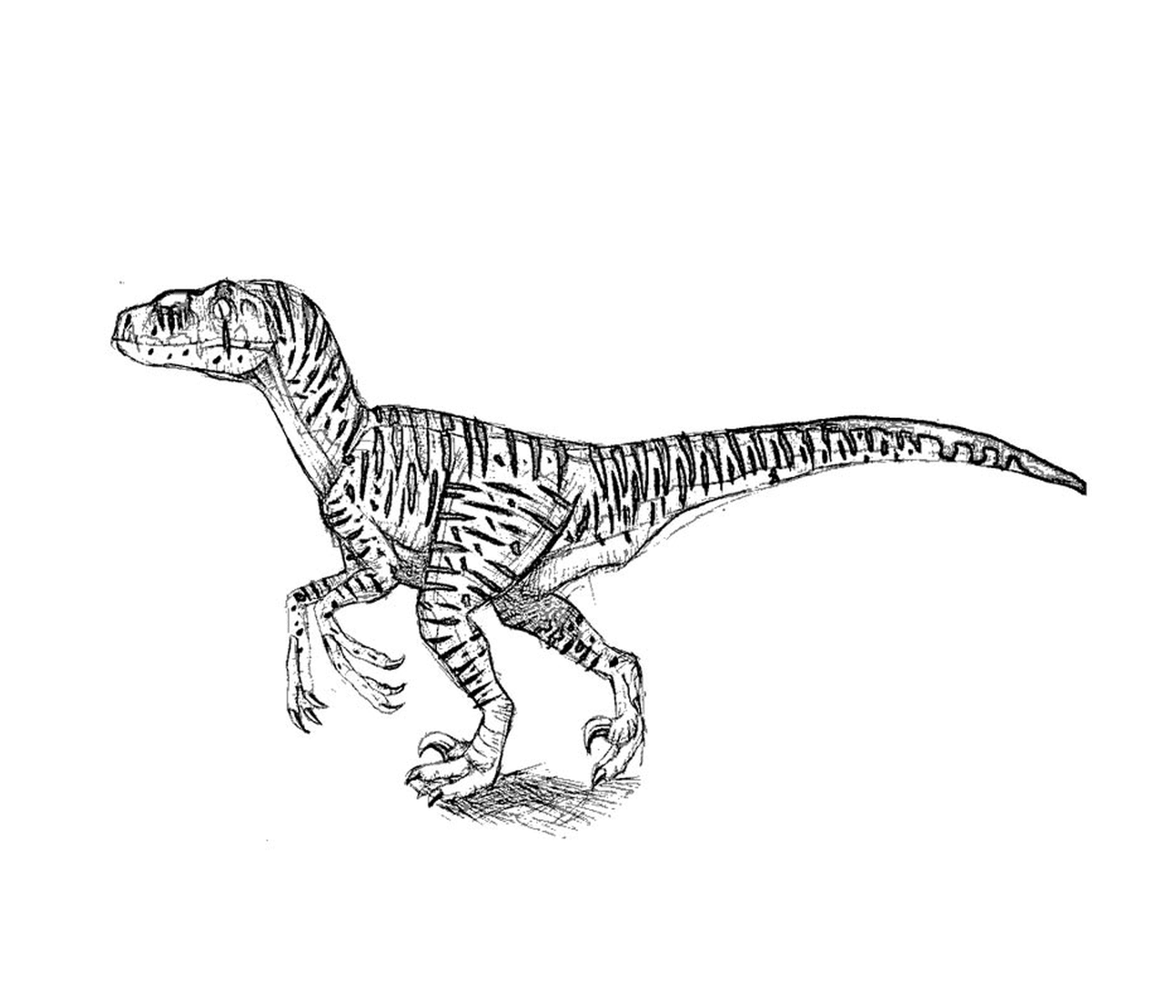   T-Rex de Jurassic Park, marche majestueuse 