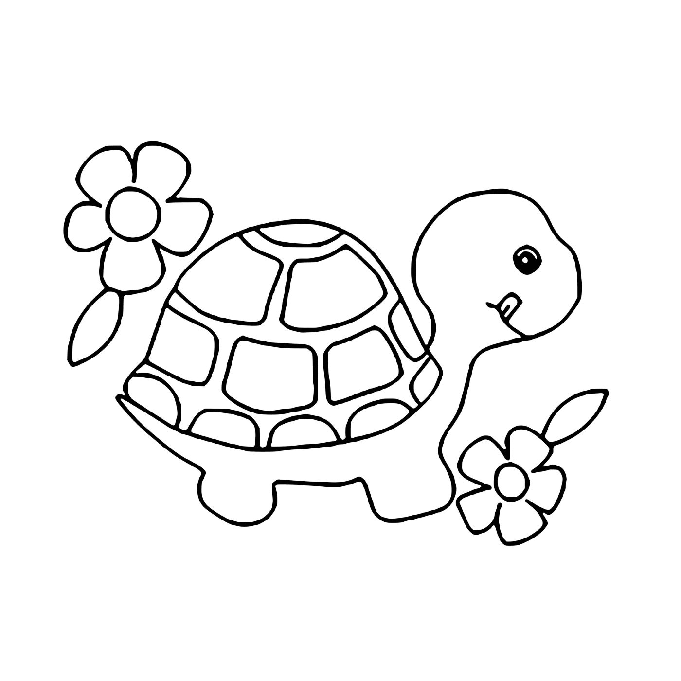   Une tortue et des fleurs 
