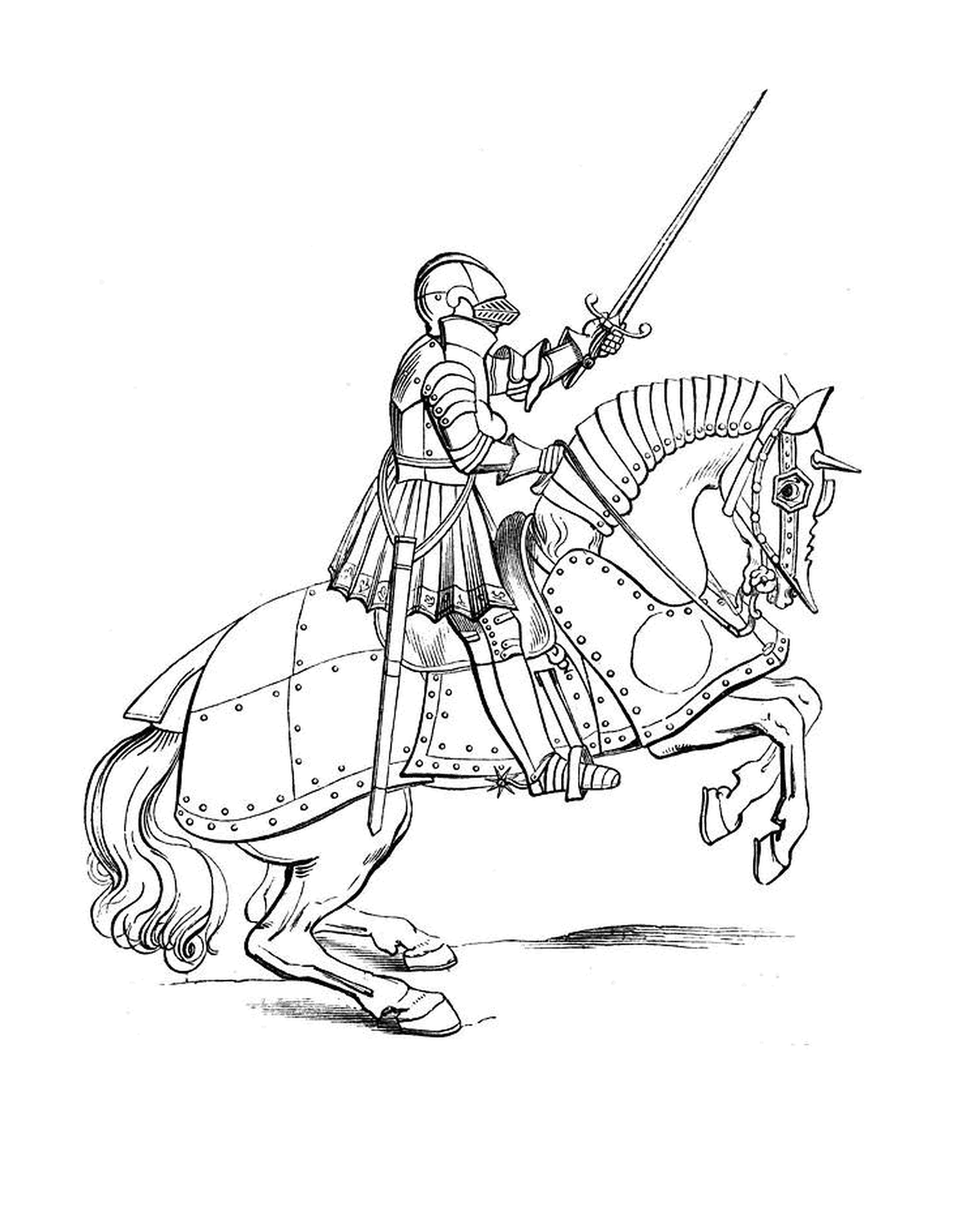   Un homme sur un cheval 