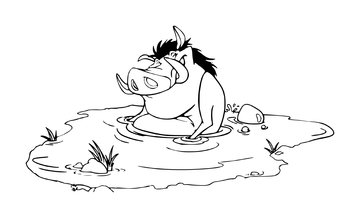   Pumba prend un bain dans une flaque 
