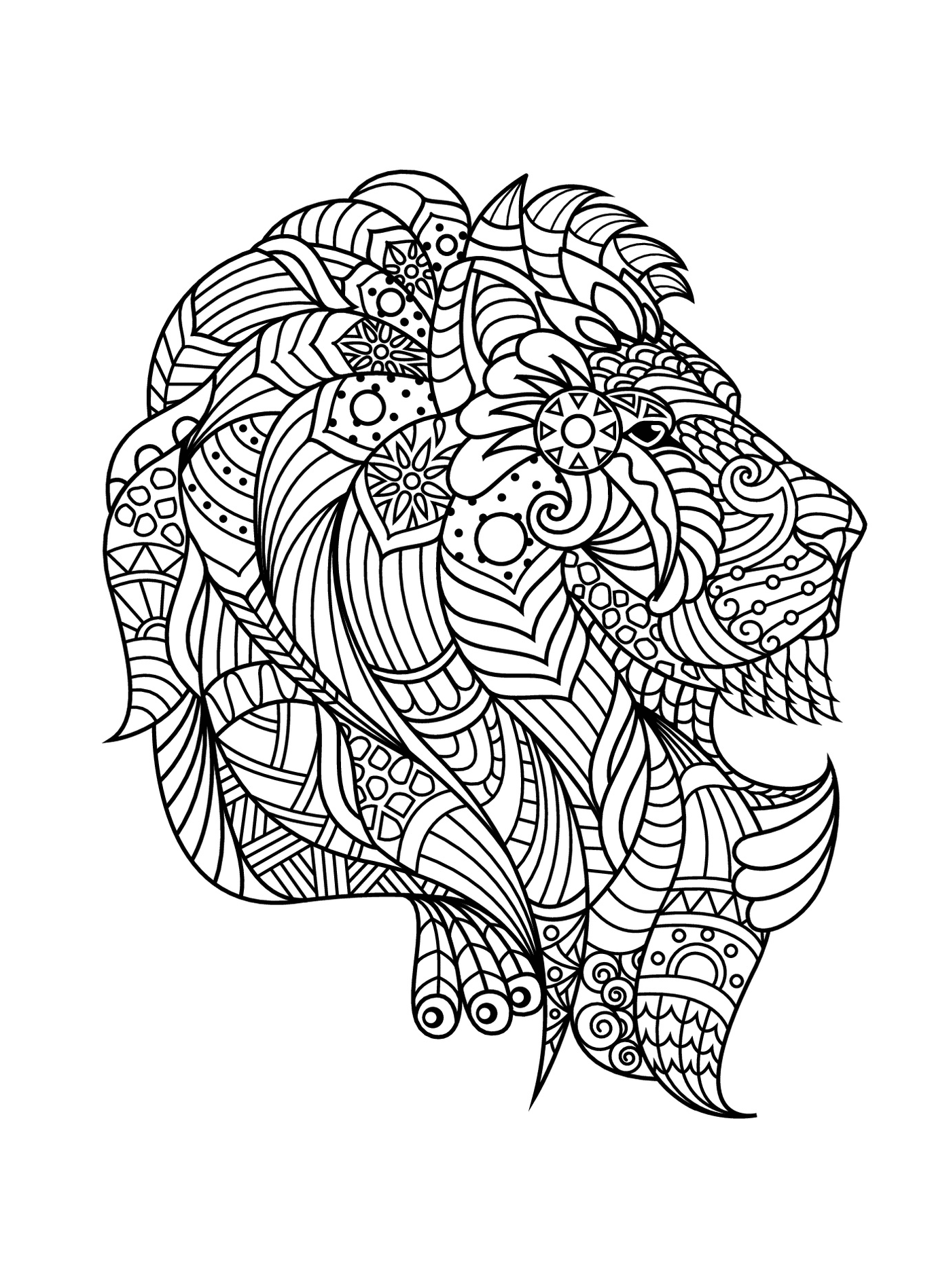   Lion adulte zentangle complexe 