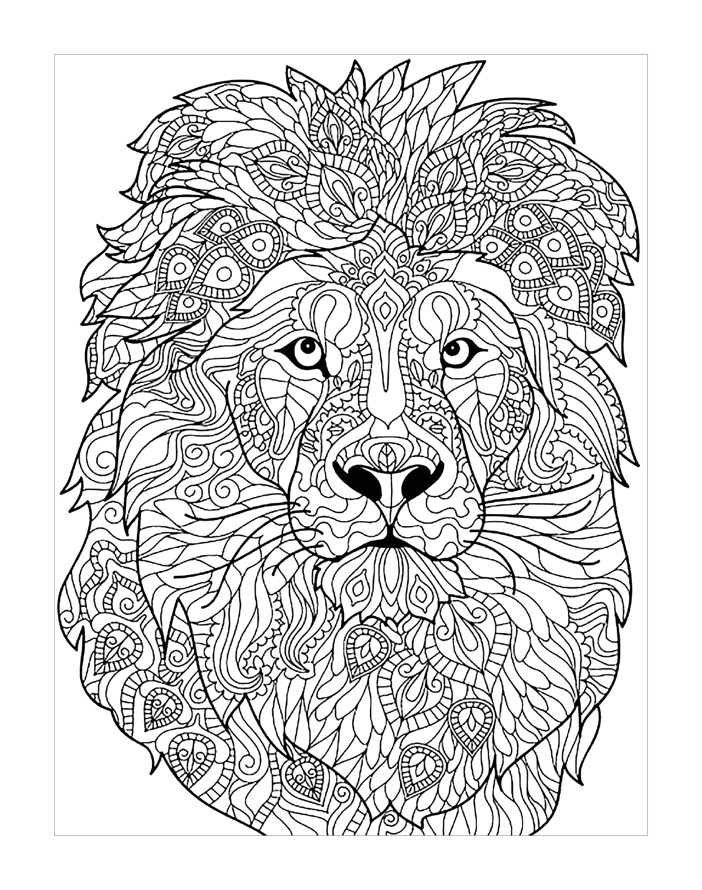   Lion adulte en motifs complexes 