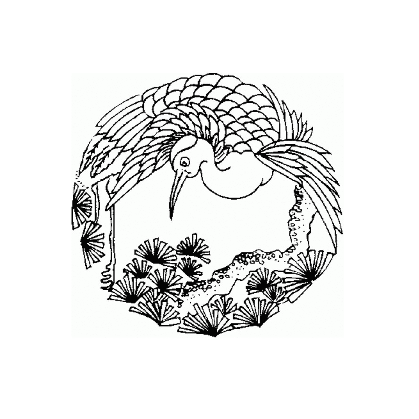   Oiseau dans un mandala 