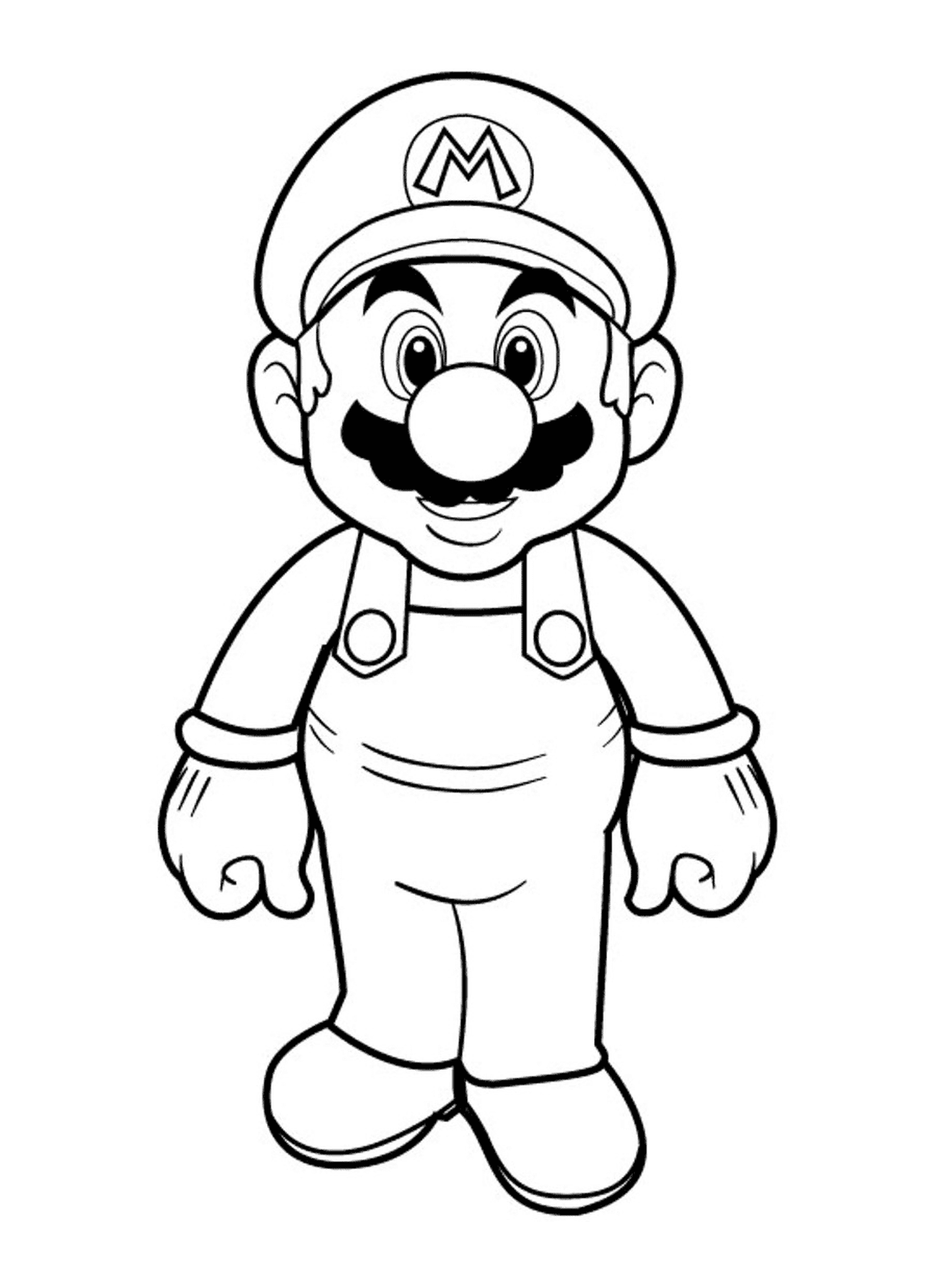   Super Mario Bros HD, un personnage de dessin animé 