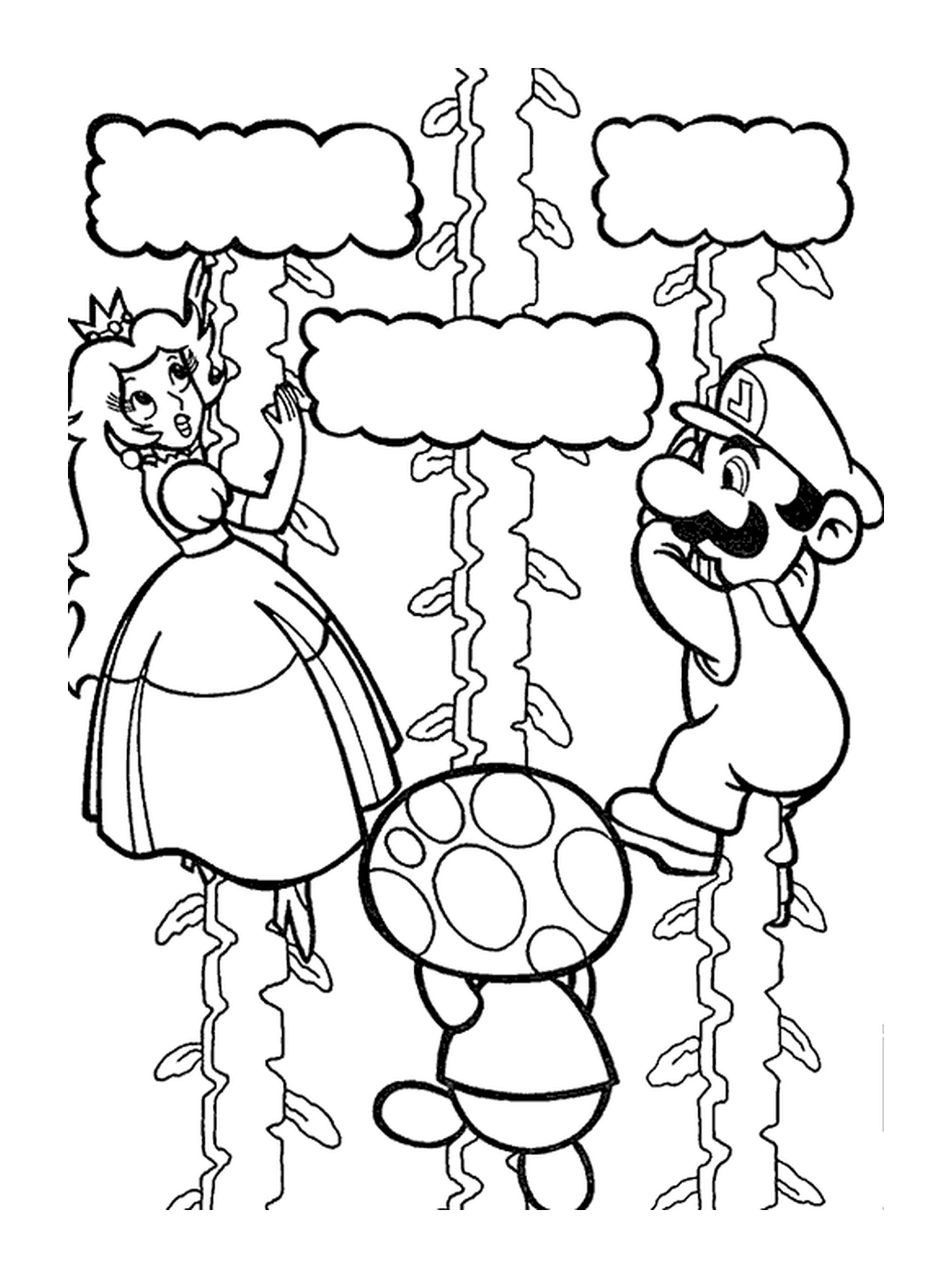   Mario, Peach et Toad escaladent vers le ciel 