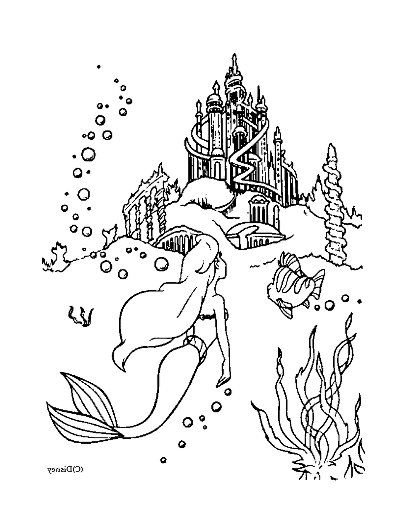   Sirene et château 