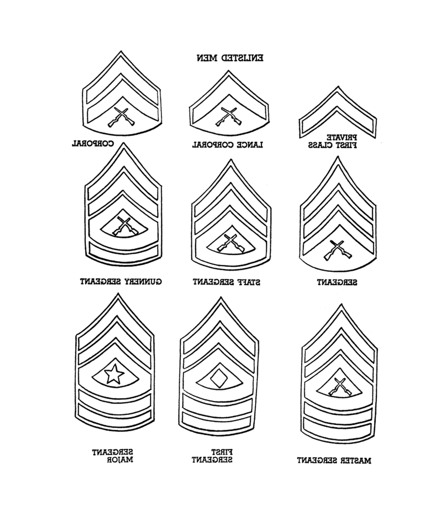   Grades du Marine Corps : un ensemble de neuf insignes de grade militaire différents 