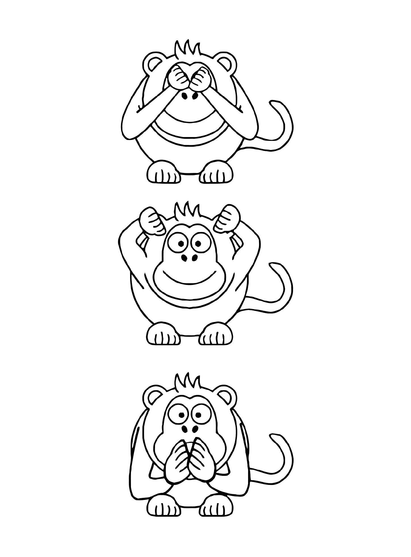   Trois singes avec expressions différentes 