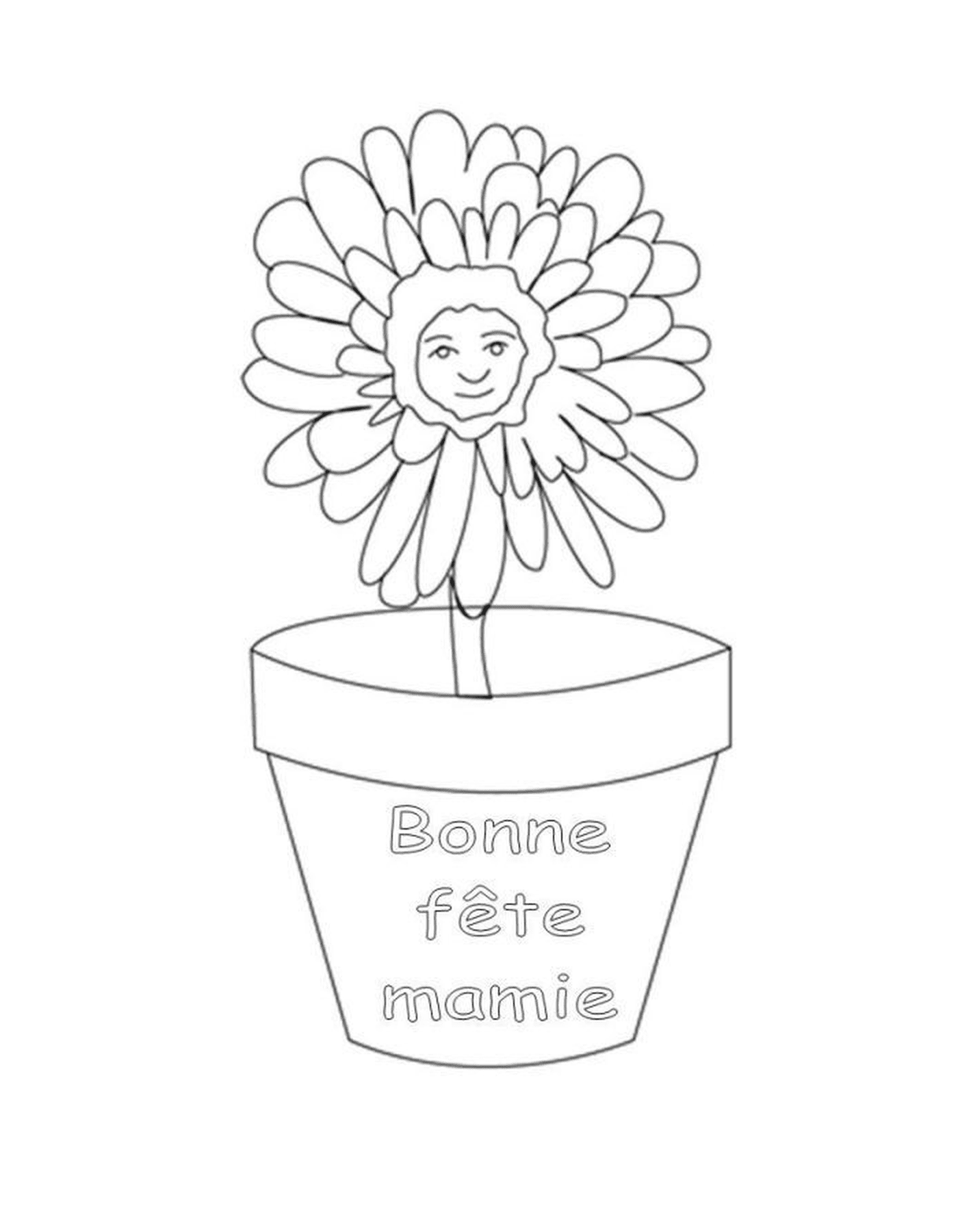   Une fleur dans un pot 