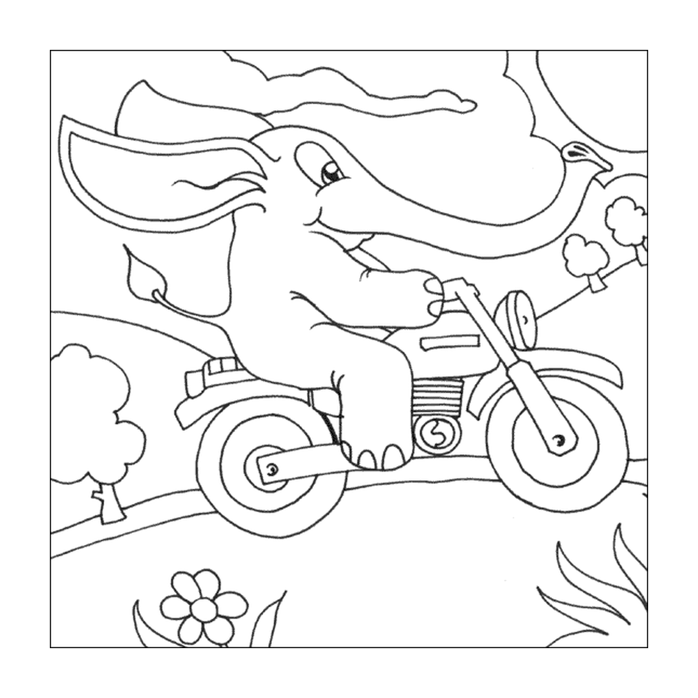   Éléphant sur une moto dans un champ 