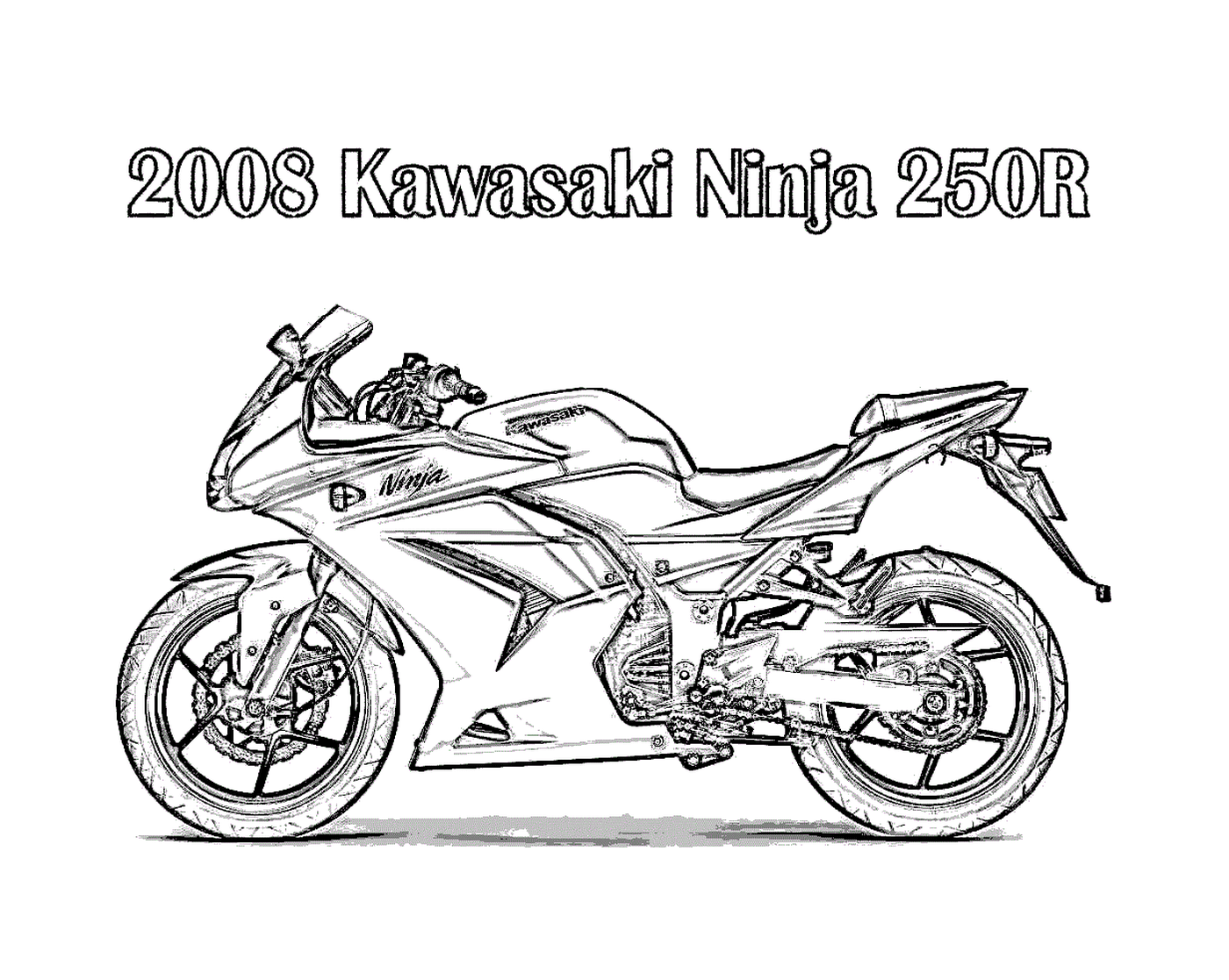   Kawasaki Ninja 250 