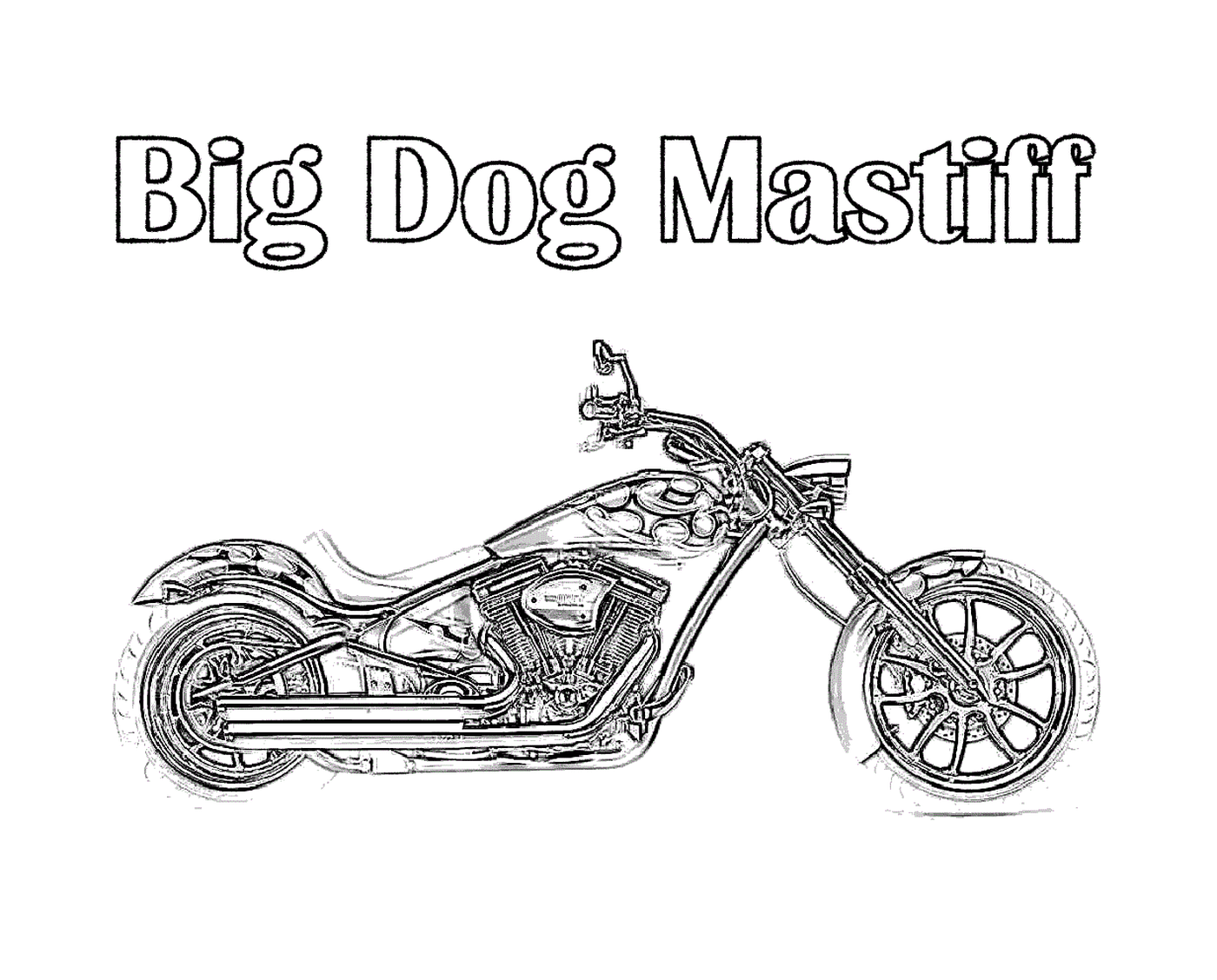   gros chien sur motocyclette 