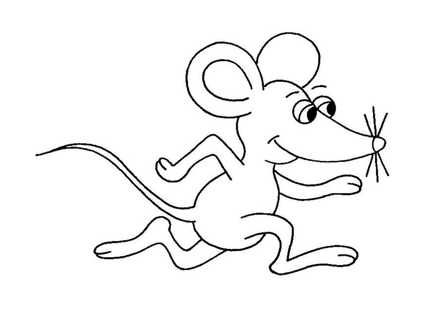   Une souris qui court 