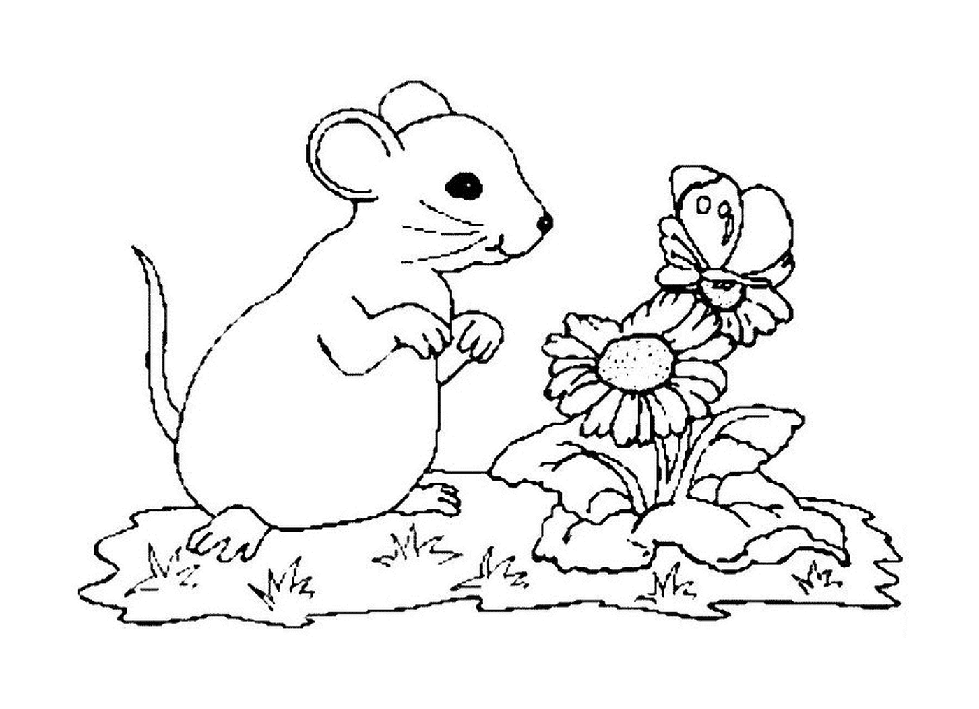   Des fleurs et une souris 