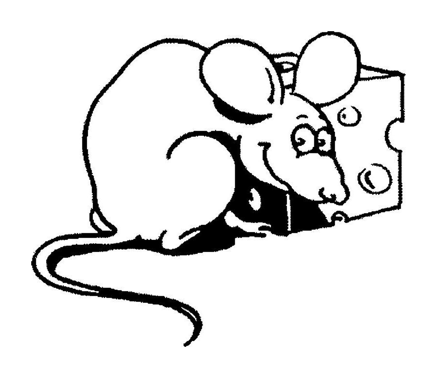   Une souris avec du fromage 