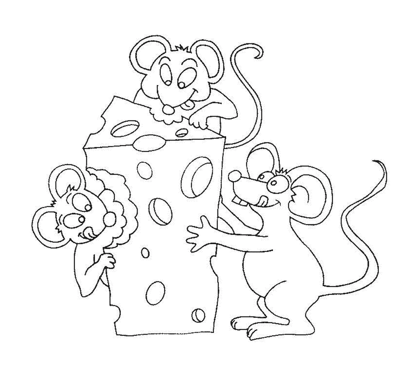   Trois souris pour un morceau de fromage 