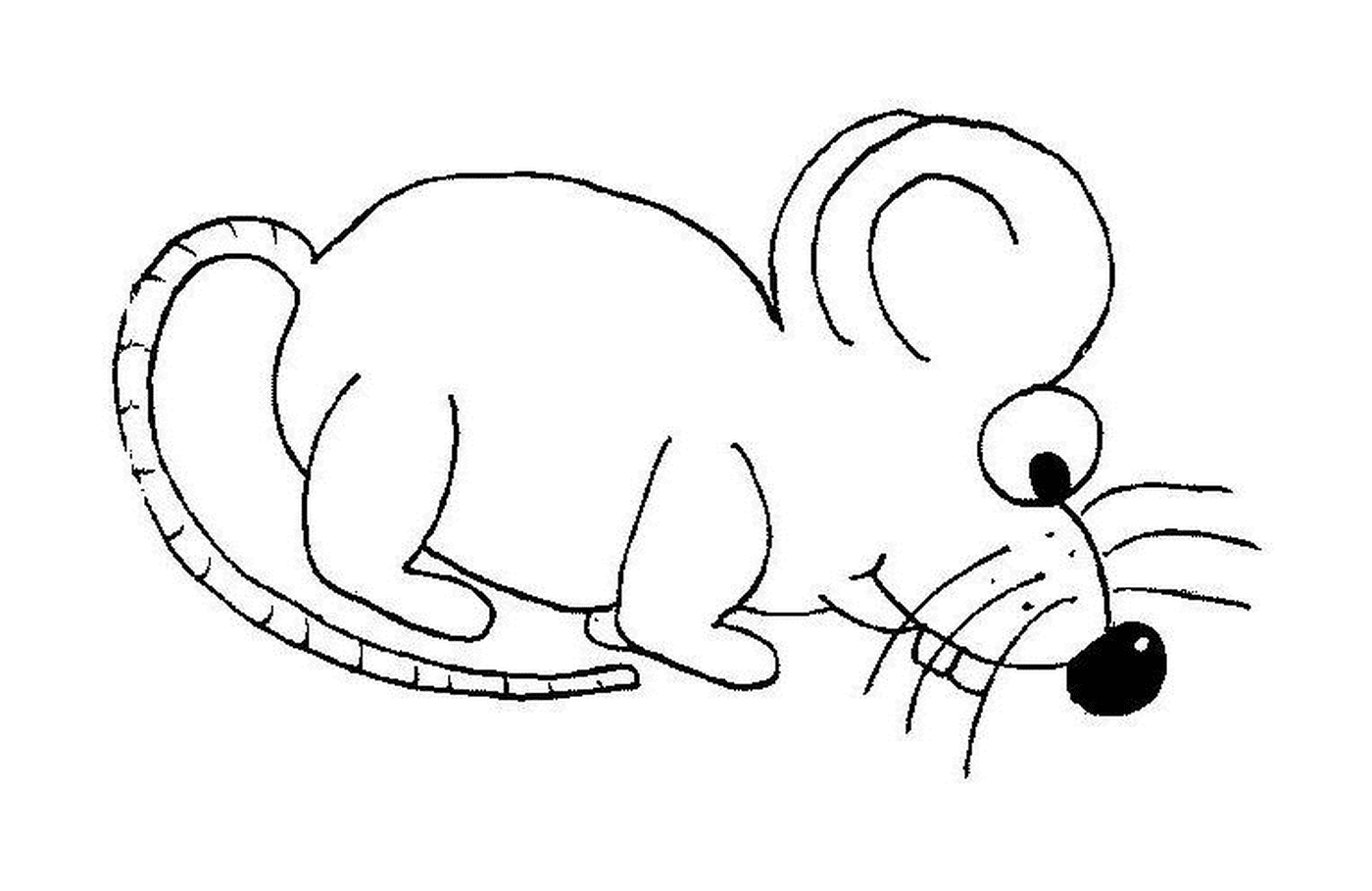   Une souris mangeant 