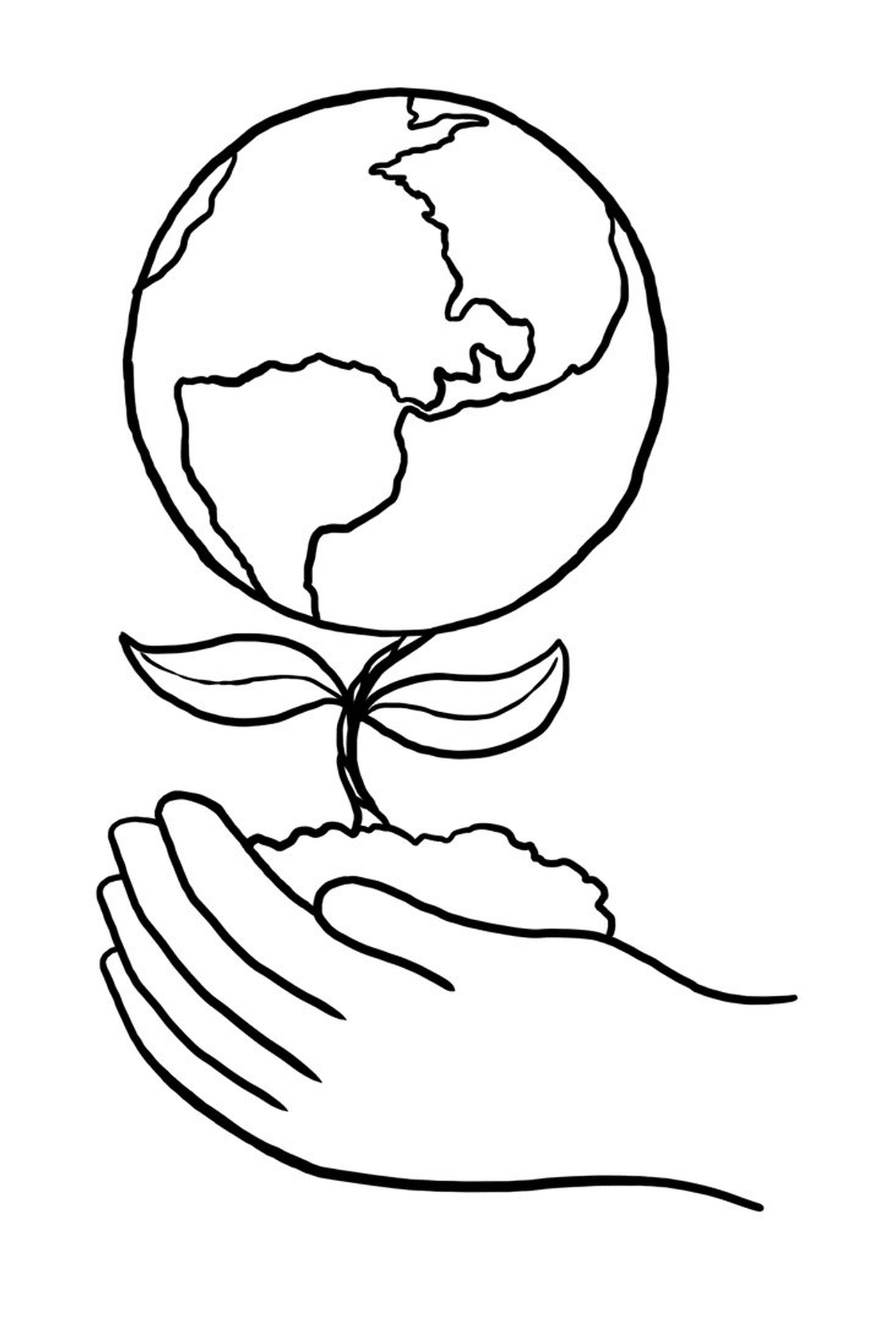   Une main tenant une plante devant un globe 