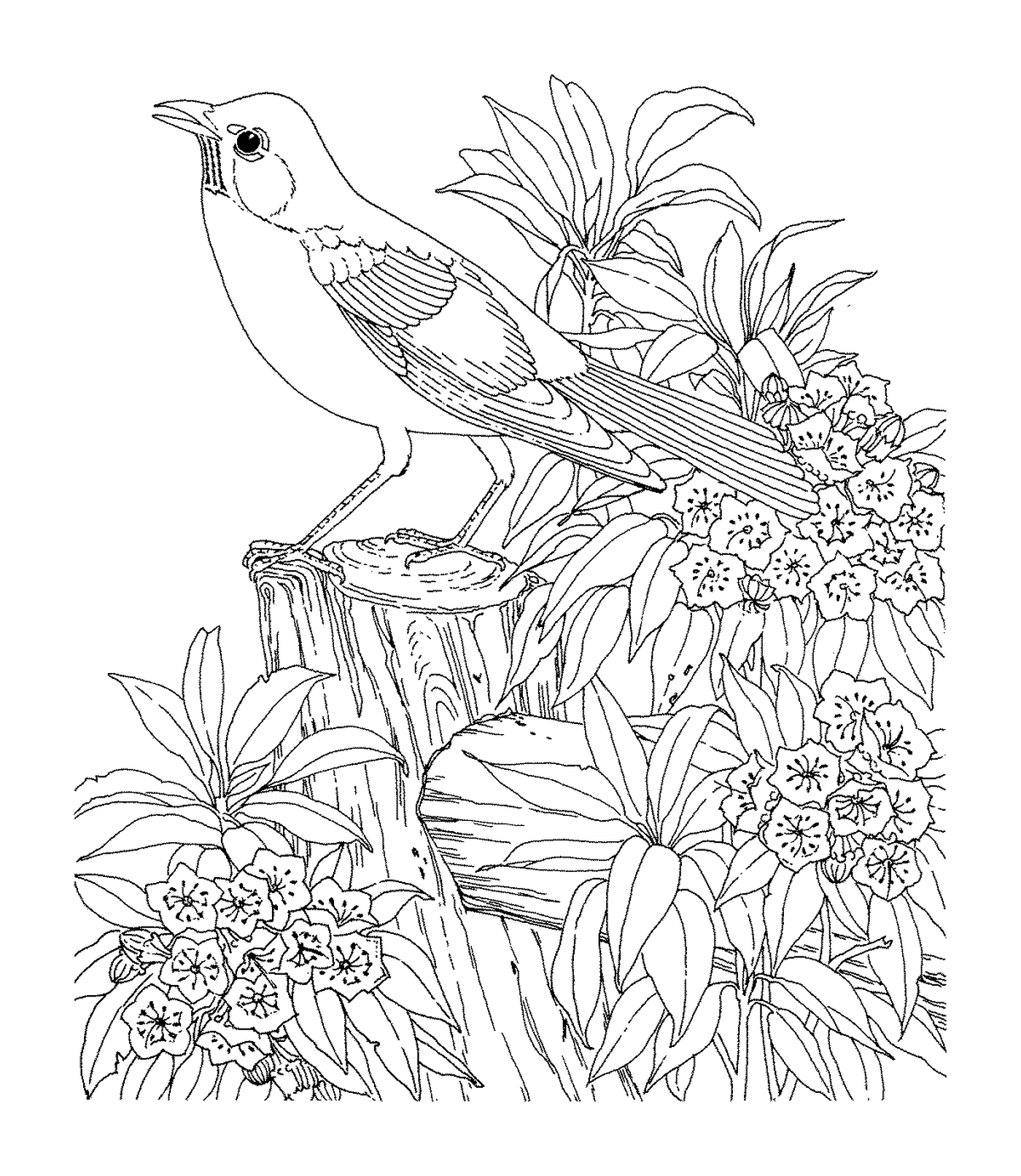   Un oiseau assis sur une branche 