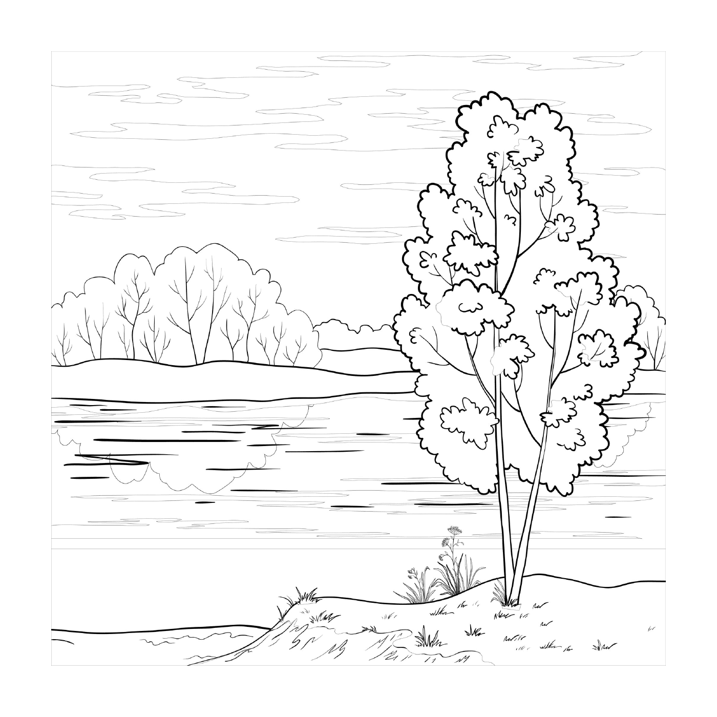   Un arbre près d'un lac 