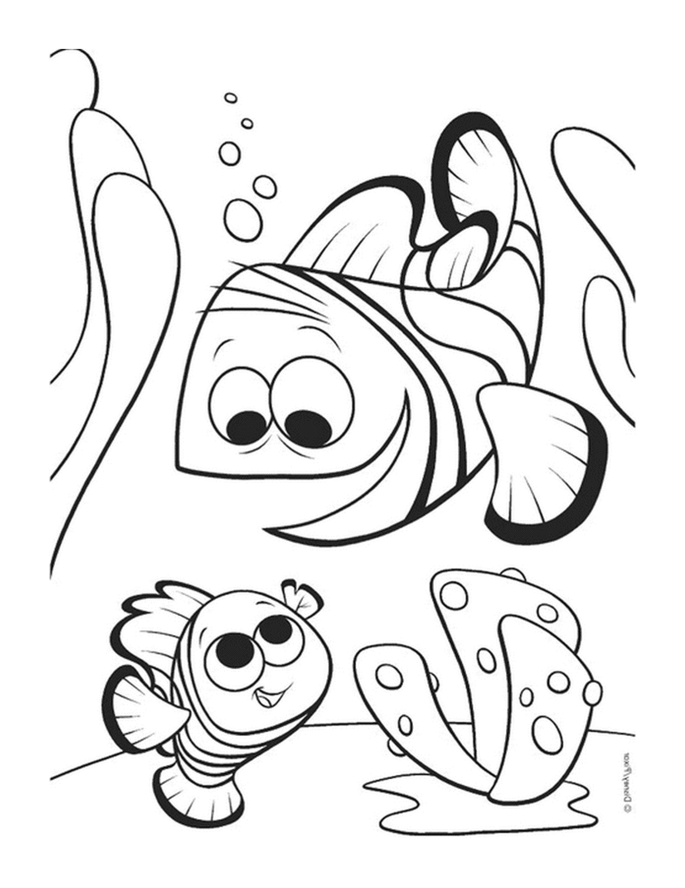   Marin et son fils Nemo 