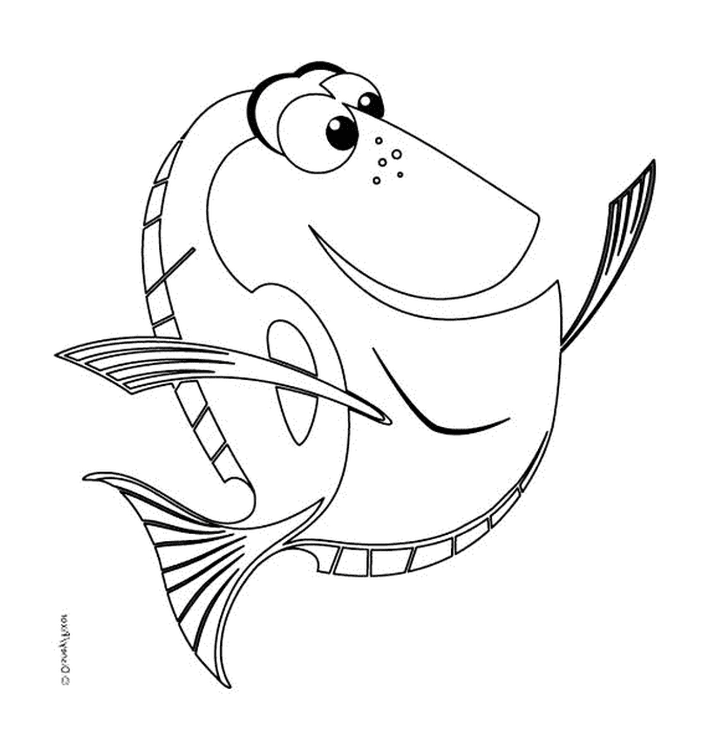   Dory, un poisson 
