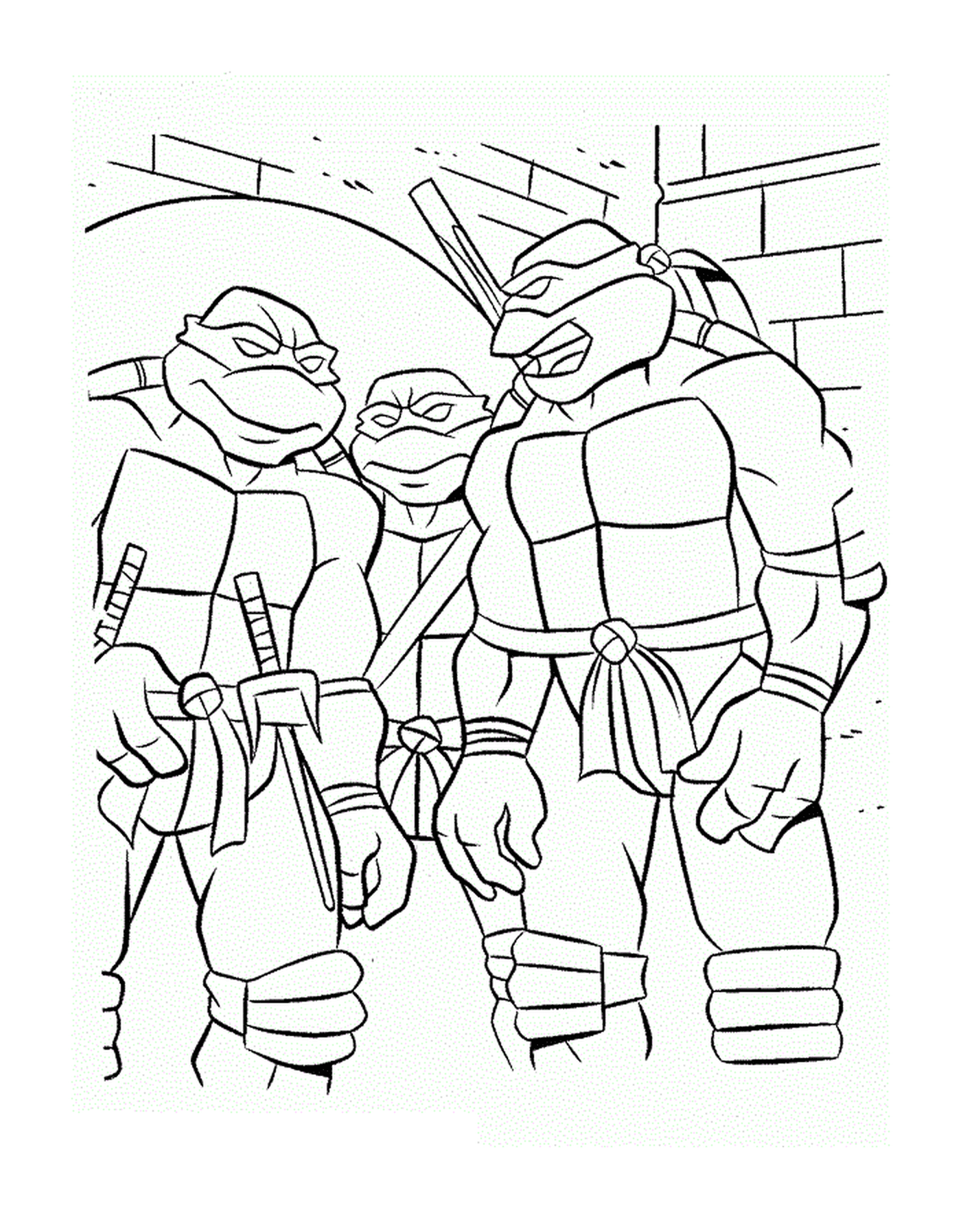   Équipe de tortues ninjas 