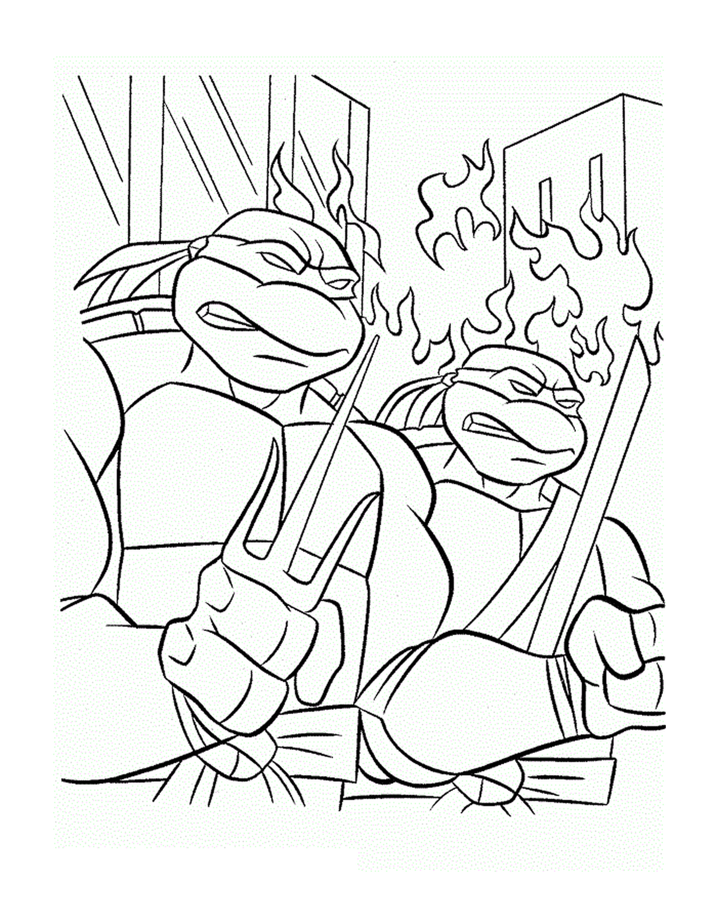   Deux tortues ninjas 