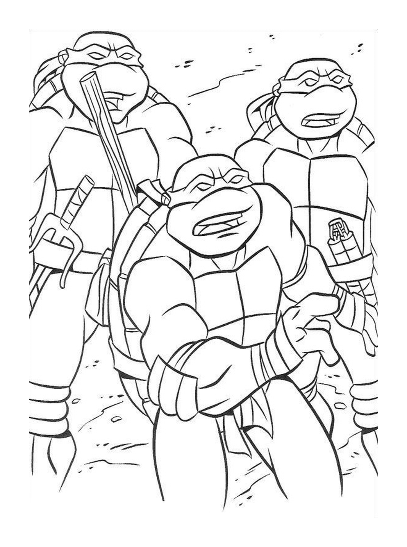   Groupe de tortues ninjas solidaires 
