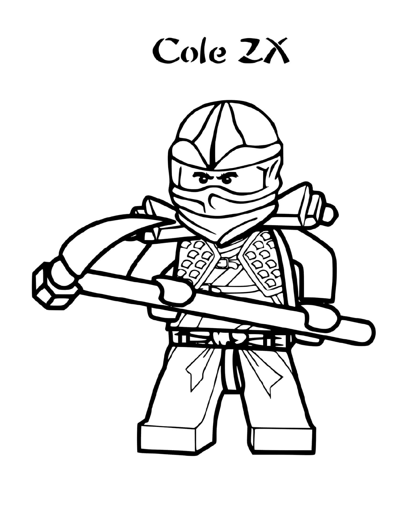   Ninjago : Cole ZX, un ninja 