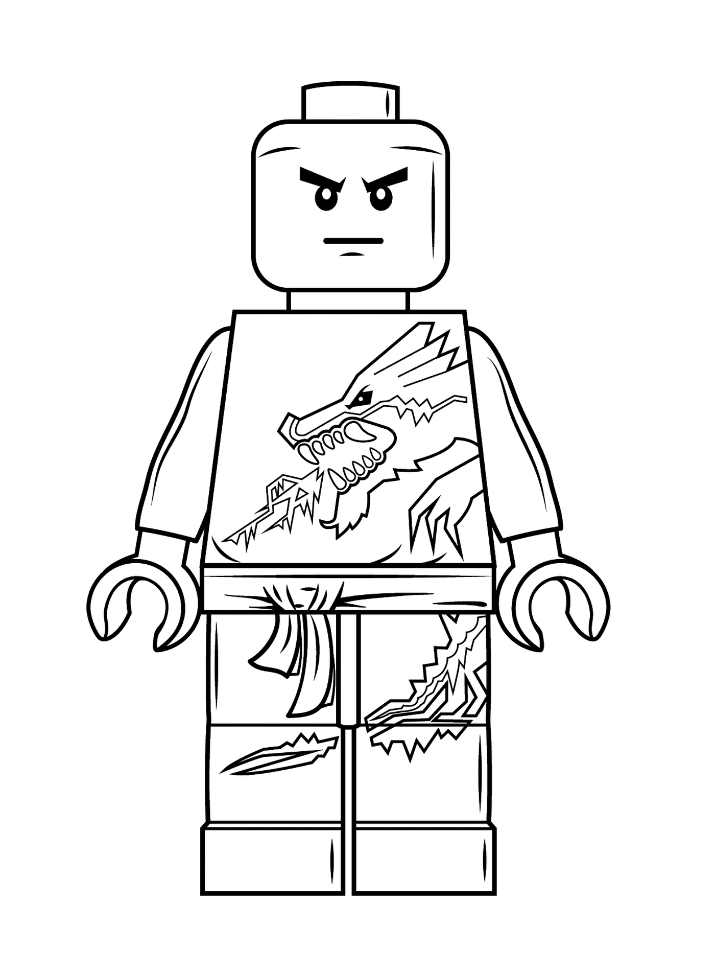   Lego Ninjago : Zane 