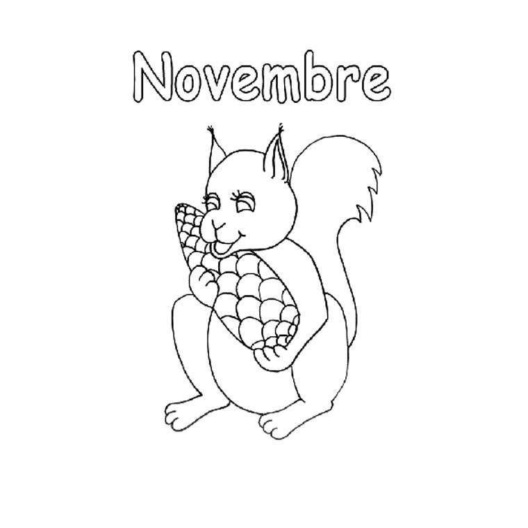   Novembre et automne 