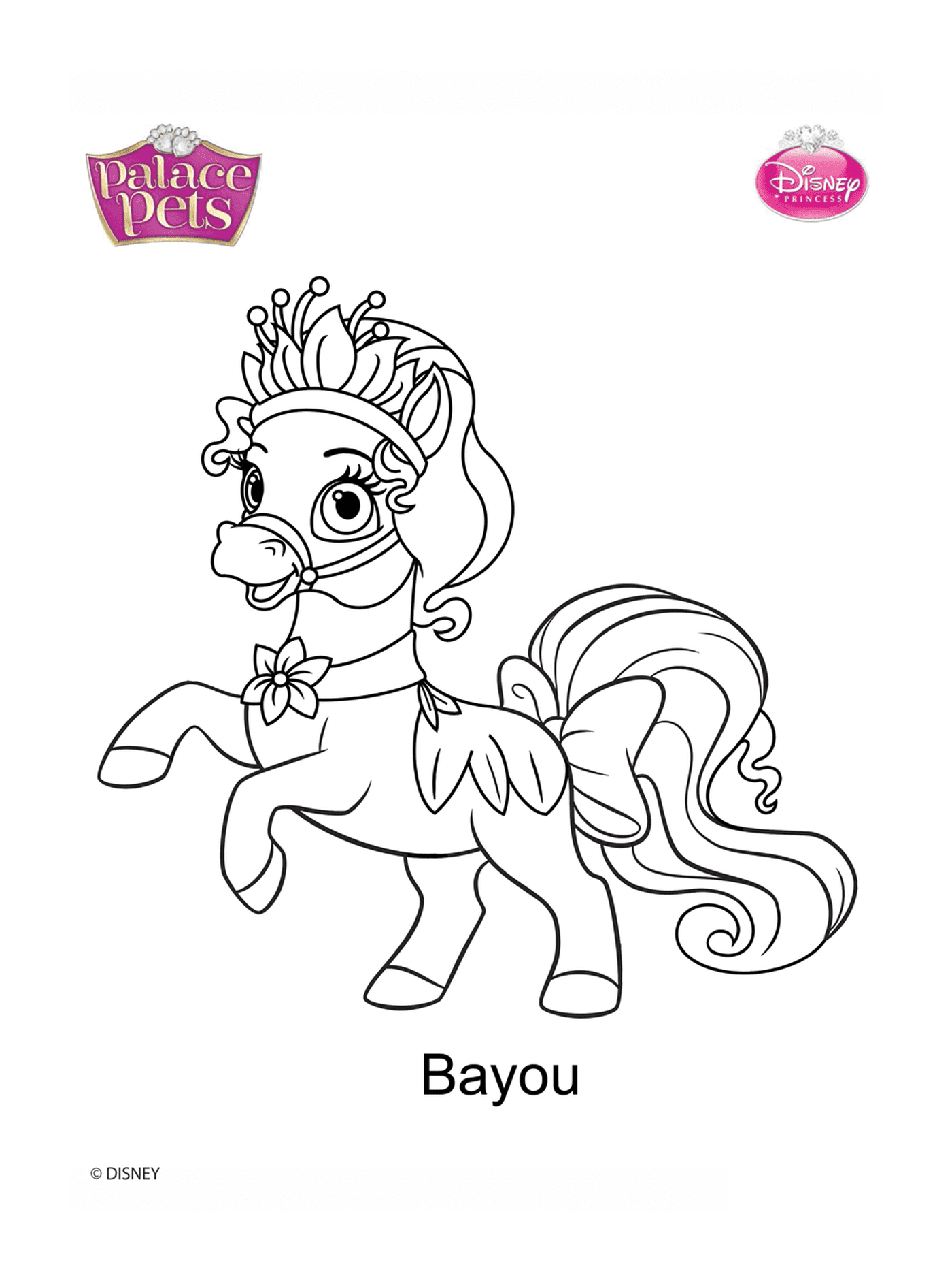   Bayou, poney princesse gracieux 