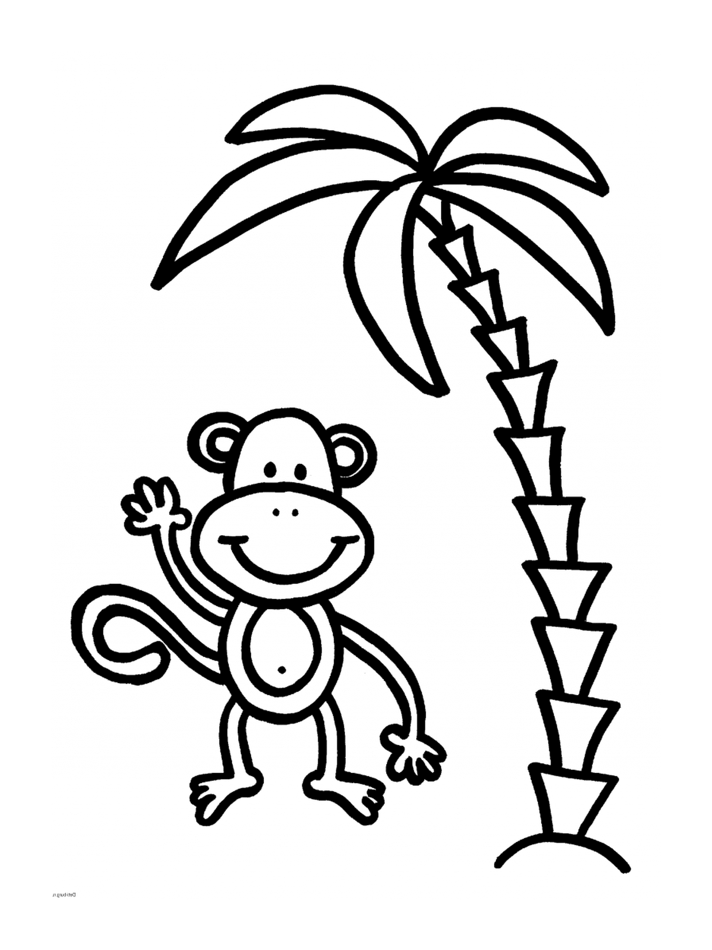   Palmier avec singe joueur 
