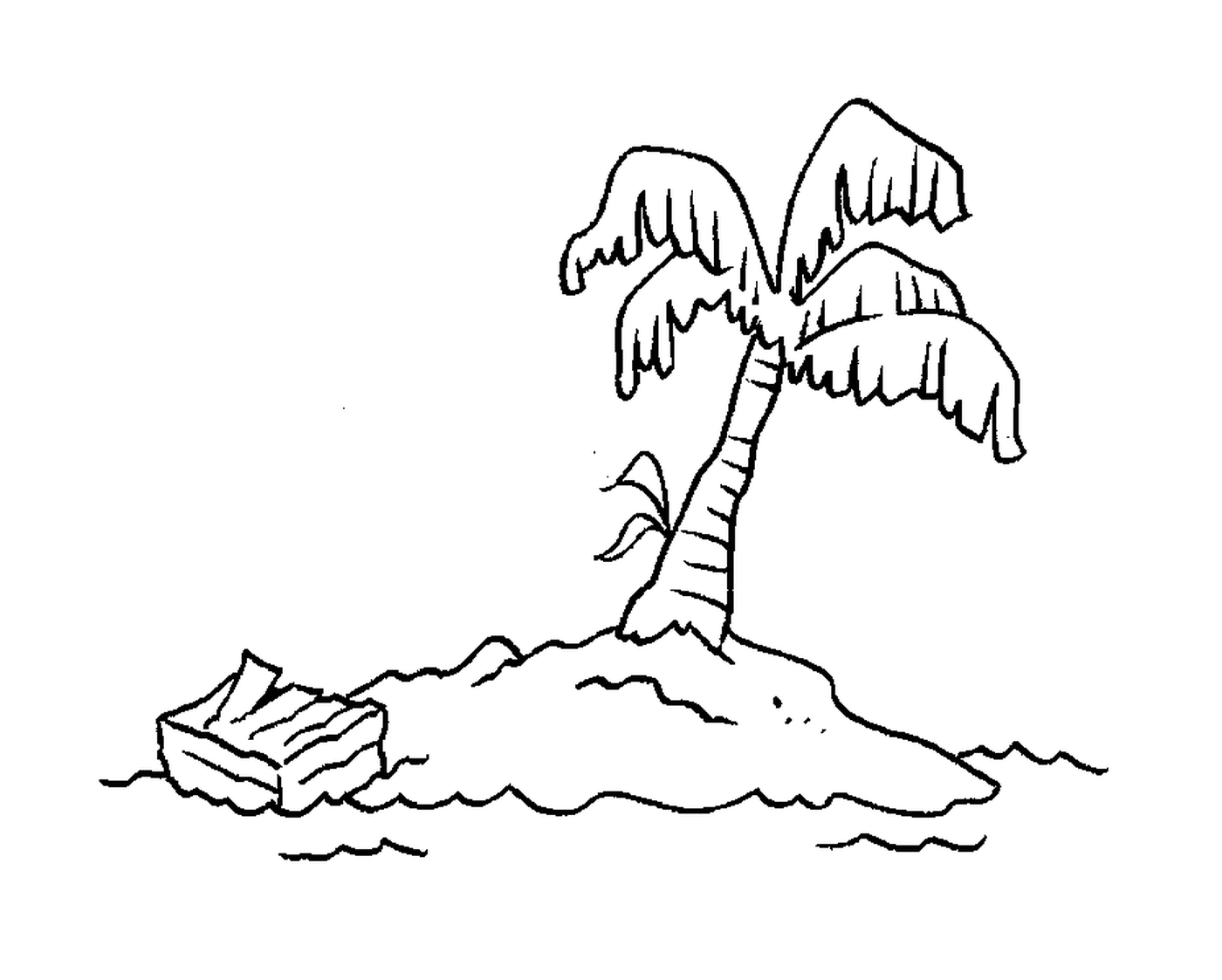   Palmier île déserte 