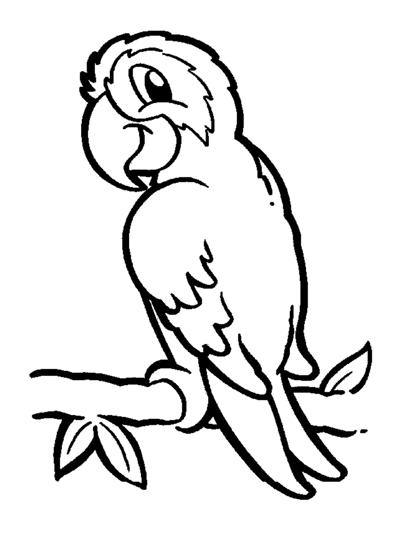   Perroquet, oiseau exotique aux plumages colorés 