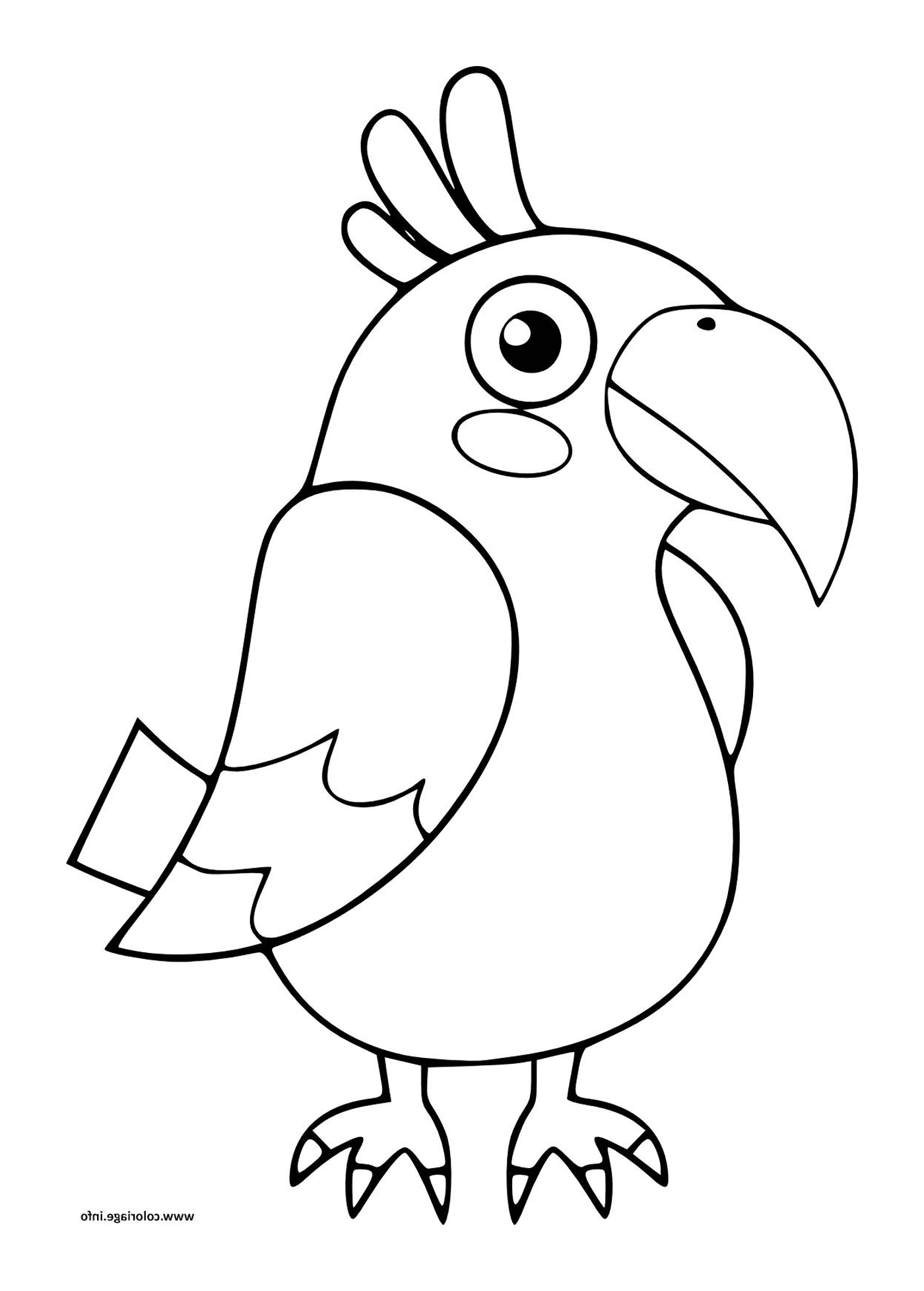   Perroquet, oiseau pour la maternelle des enfants 