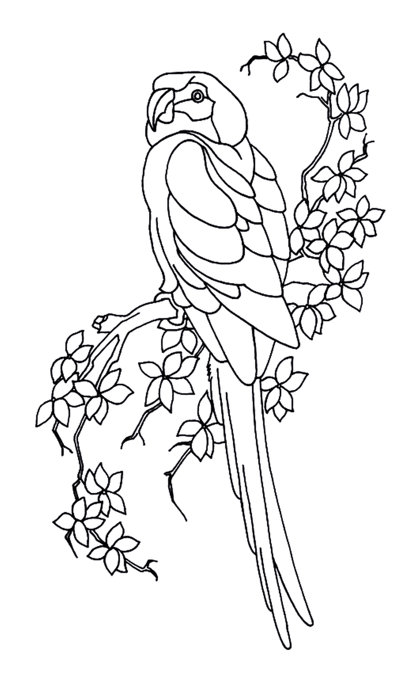   Perroquet et feuilles, oiseau perché sur une branche d'arbre 