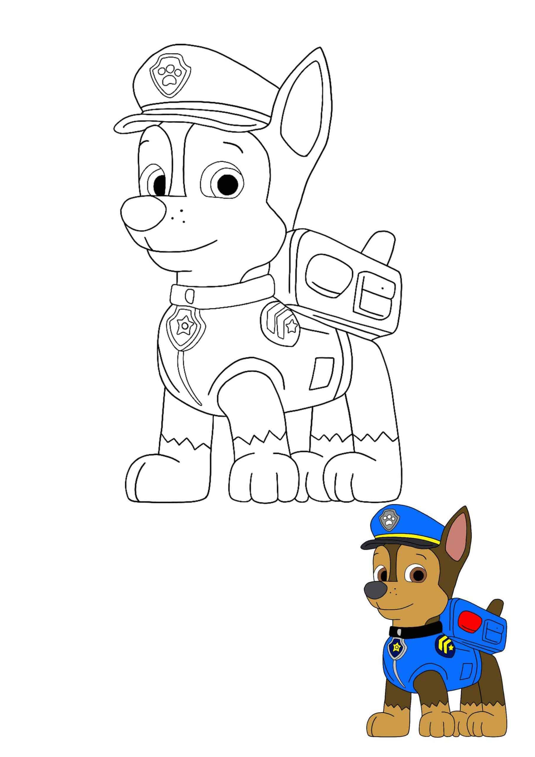   Chase, le chien policier de Paw Patrol 