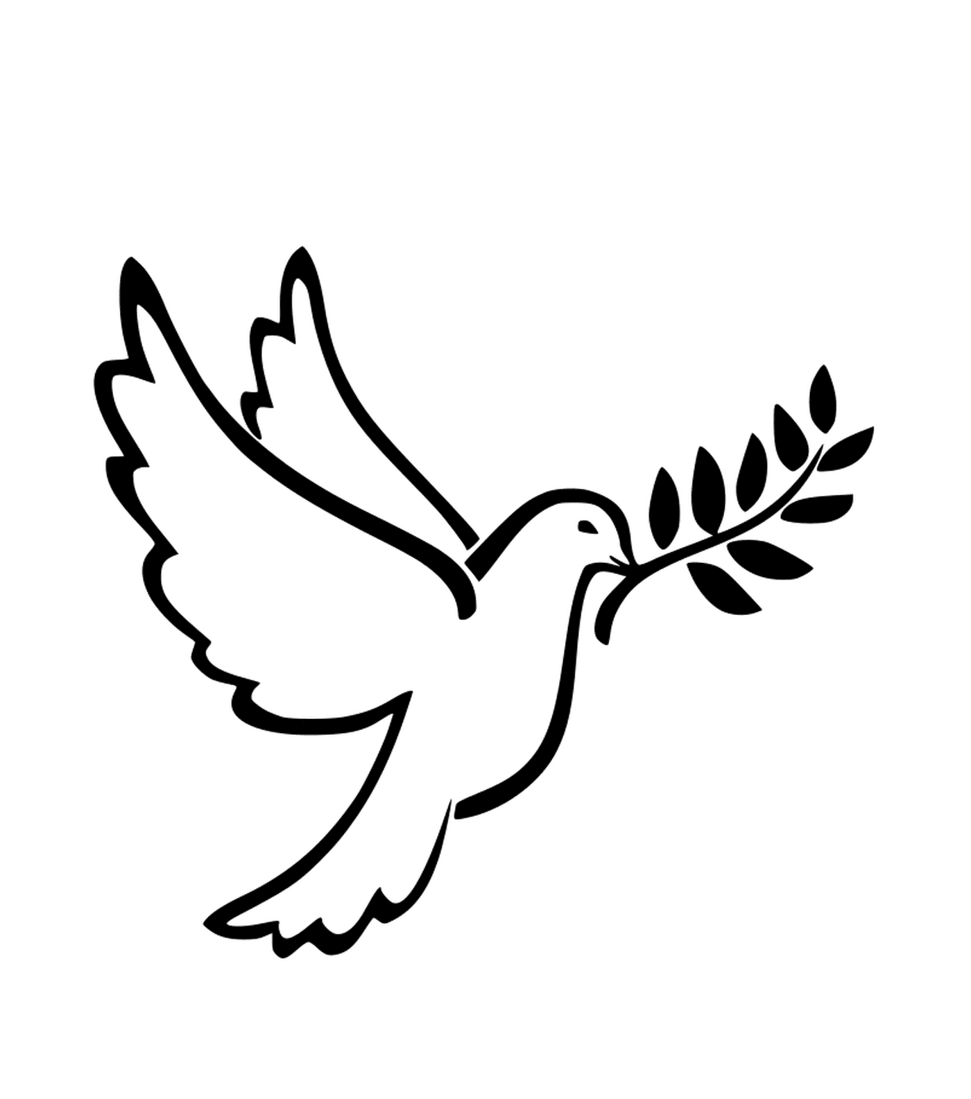   Oiseau blanc de la paix 