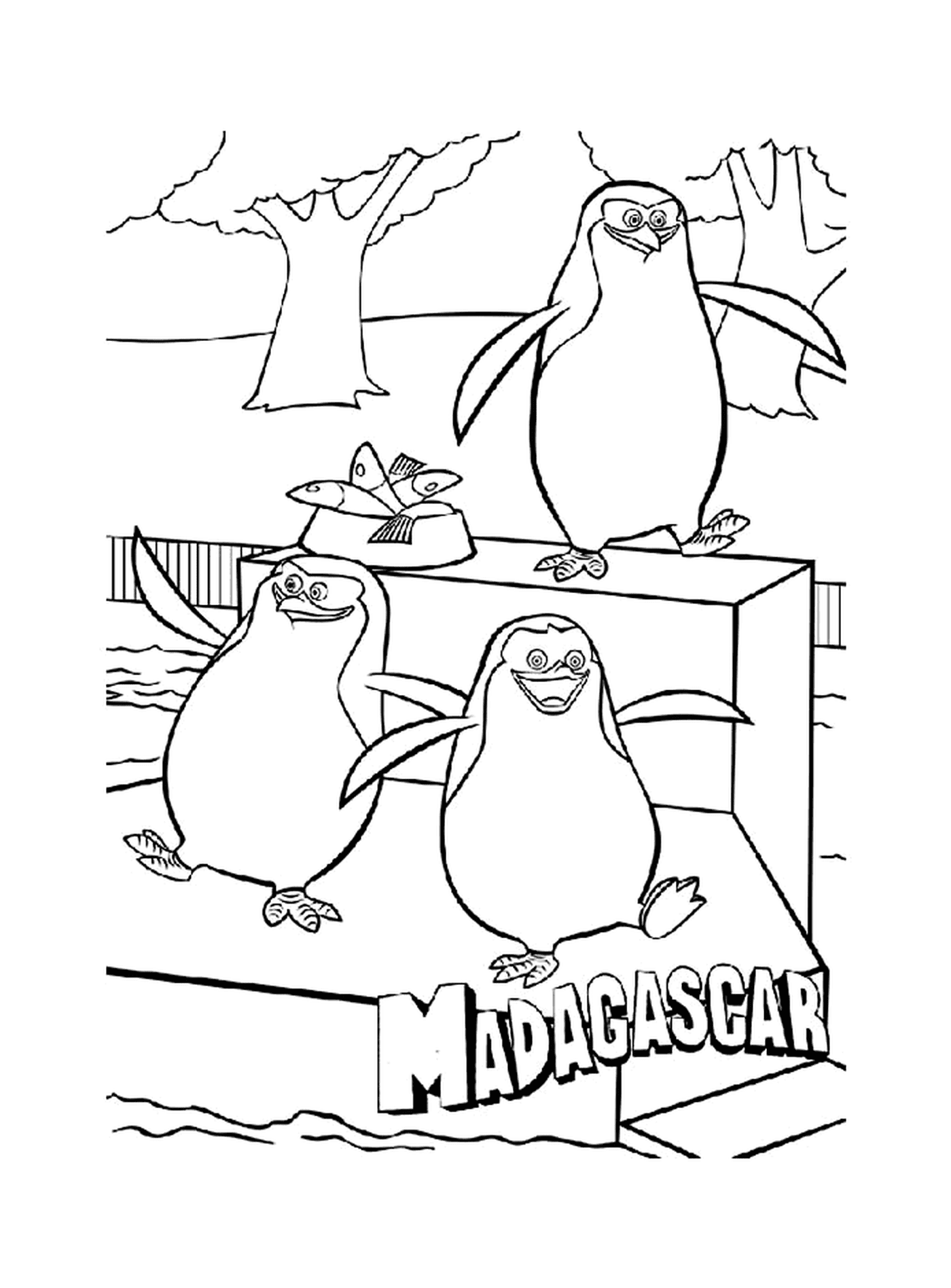   Groupe de trois pingouins sur une corniche 