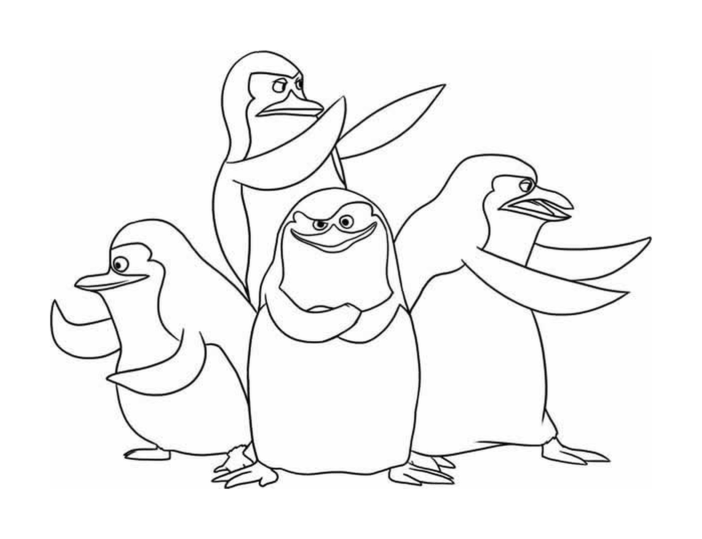   Groupe de pingouins en rangée 