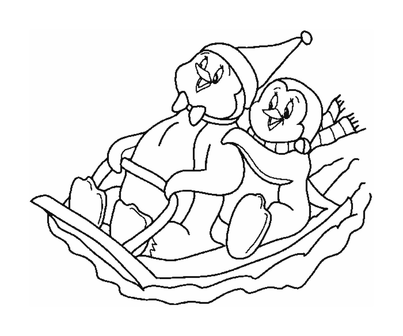   Couple de pingouins assis dans un bateau 