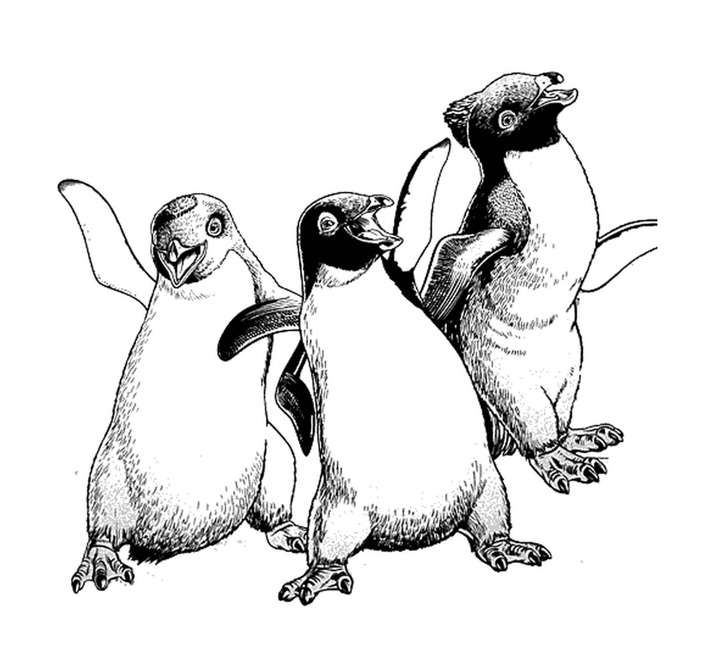   Groupe de trois pingouins côte à côte 